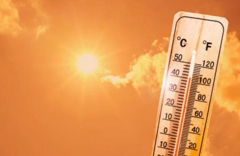 Durante dianan di calor, Ta importante pa tuma medidanan di precaucion
