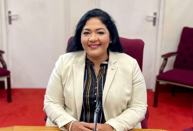 Minister Maduro a reuni cu Comision Fiho di Finansa y Economia riba BBO na frontera y simplificacion di tarifa di impuesto riba importacion
