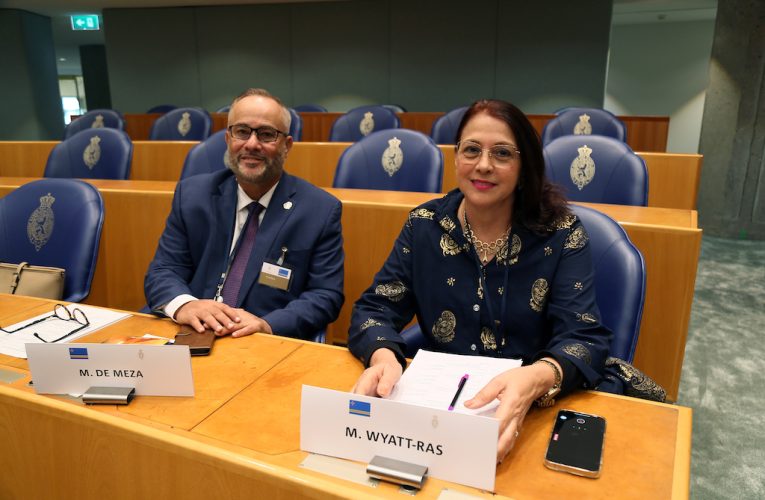Parlamentario drs. Mervin Wyatt-Ras: Parlamentario di MEP ta papia un cos na Aruba y otro na Hulanda