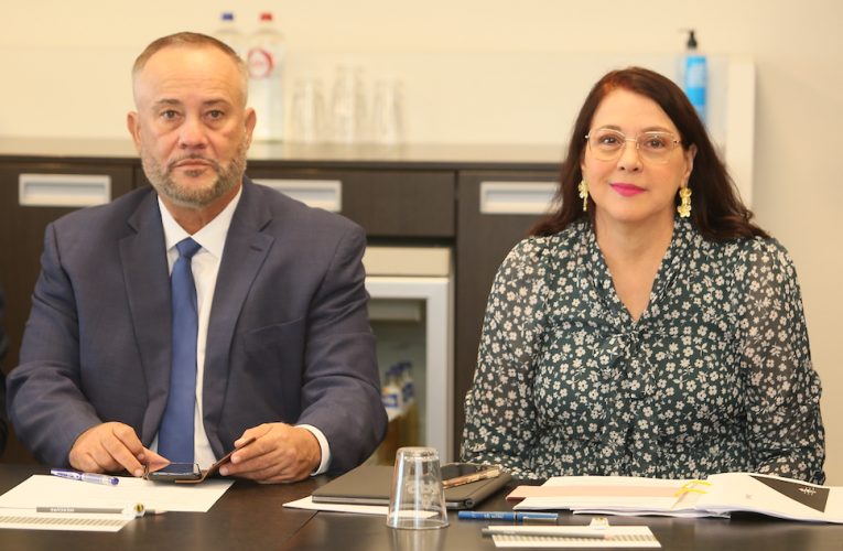 Parlamentario di AVP ta prepara defende interes di Aruba na IPKO