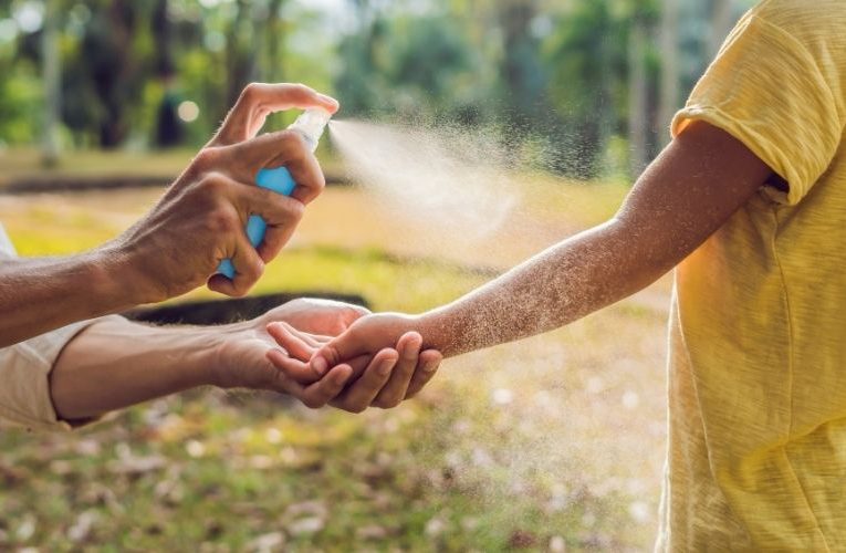 Tuma accion pa Preveni, Proteha y Stop Dengue