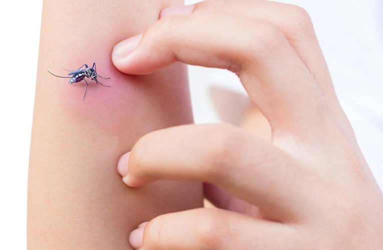 Tuma accion pa Preveni, Proteha y Stop Dengue
