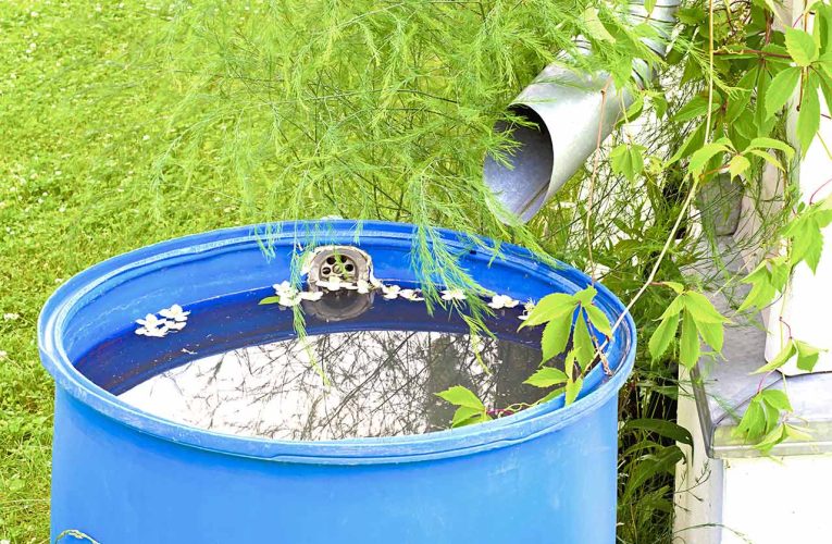 Tuma accion pa Preveni, Proteha y Stop Dengue