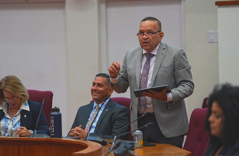Minister Endy Croes: A SPLICA OPOSICION DEN PARLAMENTO DI ARUBA RIBA E LUCHA Y IMPORTANCIA DI NOS AUTONOMIA