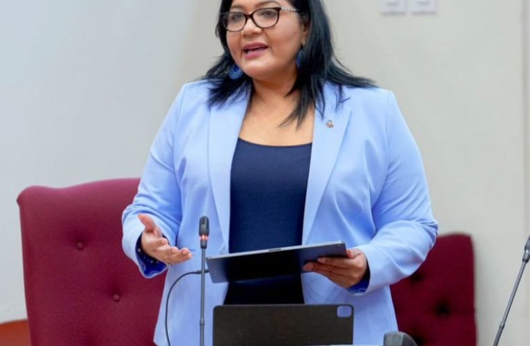 Minister Maduro di Finansa ta brindando mas transparencia financiero cu cualkier otro Minister di Finansa di Aruba