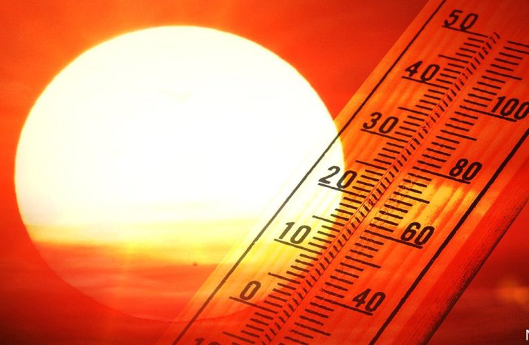 Heatstroke of Molester severo debi na calor