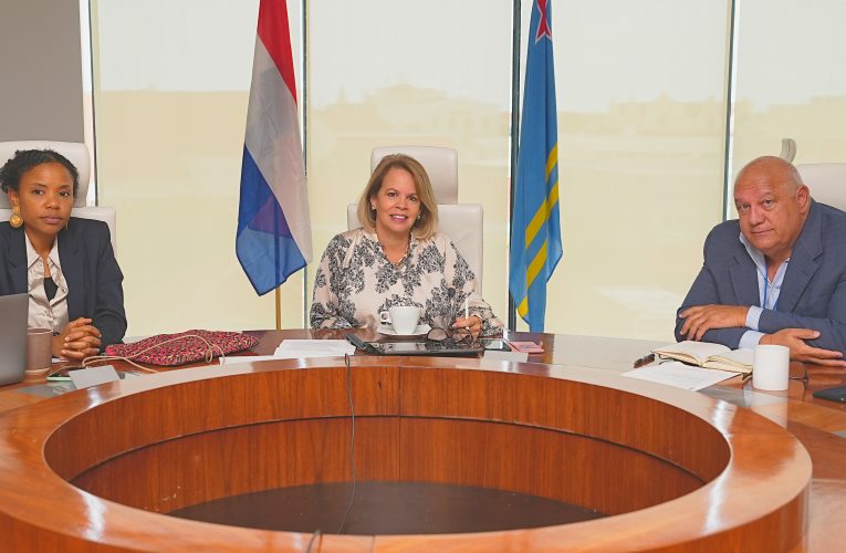 PROME MINISTER A REUNI CU SECRETARIO DI ESTADO ALEXANDRA VAN HUFFELEN RIBA E TOPICO DI DEBE DI COVID