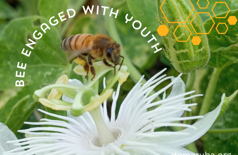 Dia mundial di Abeha 2024: Conecta hobennan cu e tema di apicultura y conservacion di polinisadonan manera abeha.