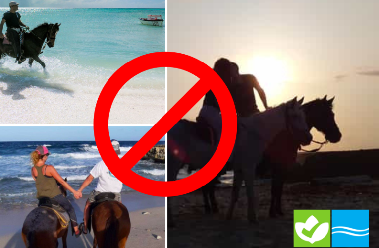 DNM ta enfatisa cu e ley PROHIBICION PA CORE CABAY RIBA BEACHNAN DI ARUBA ta vigente.