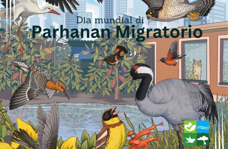 Aruba ta celebra Dia Mundial di Parha Migratorio 2025: Enfocando riba “Espacio Comparti: Creando Ciudad y Comunidadnan amical pa Parha”