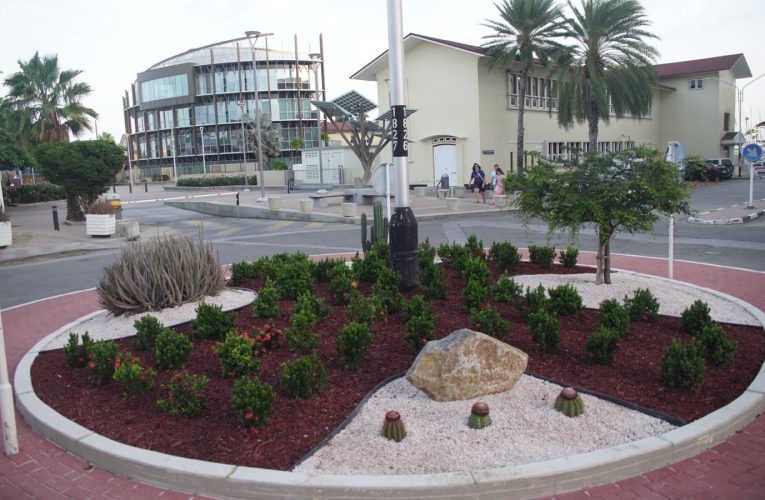 Reforestacion ta duna significado nobo na patrimonio historico: Rotonde ta resulta di ta e mas bieu di Aruba