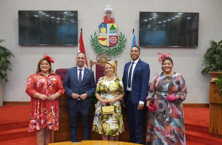 AÑA PARLAMENTARIO 2025-2026