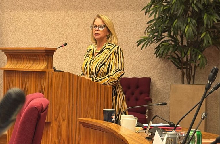 Mocion di MEP aproba pa ParlamentoARUBA TAMBE MESTER BAI TRAHA 4 DIA PA SIMAN EN BES DI 5 DIA PASIMAN