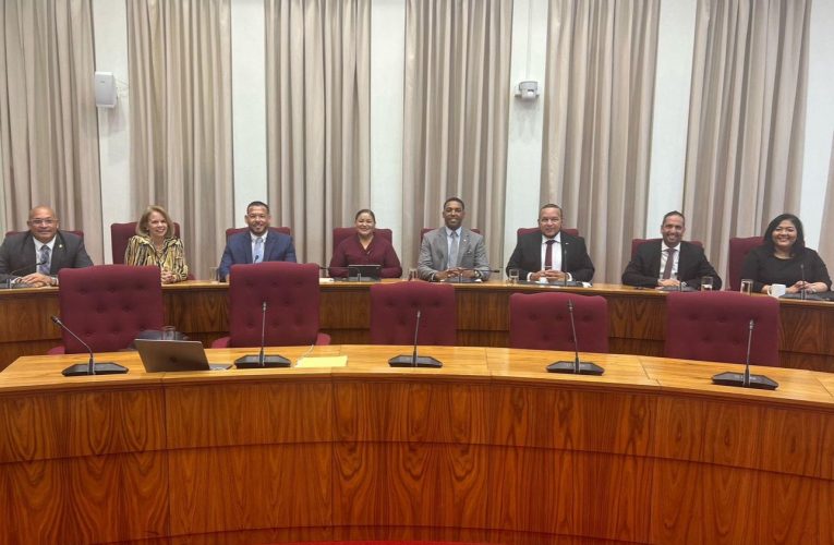 MEP ta exigi un posicion formal di Parlamento riba rijkswet HOFA